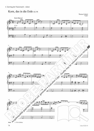 Preview: Korn, das in die Erde